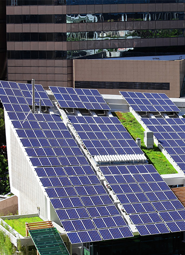 海博网·hibet- 最权威评测网